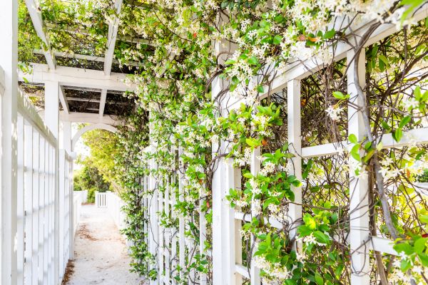 Cost of Trellis Repair in Gaithersburg
