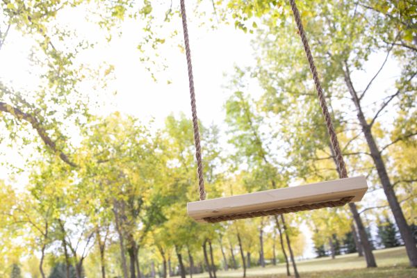 Cost of Tree Swing Installation in Gaithersburg